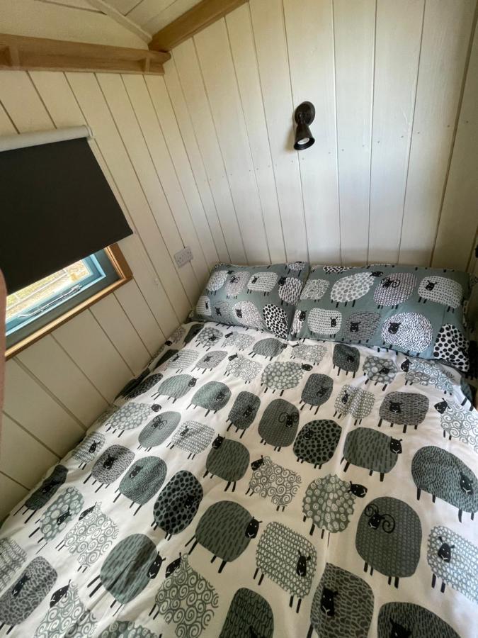 Ferienwohnung The Shepards Hut Llwyn-Dafydd Exterior foto